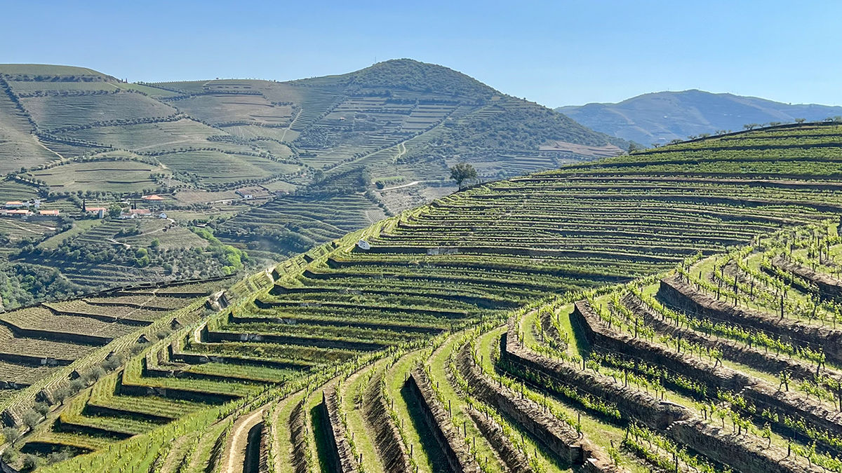 A Travel Guide to the Douro Valley, Portugal TravelAge West
